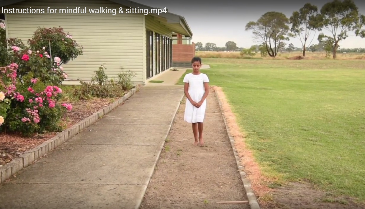 Visuals and instructions for mindful walking & sitting