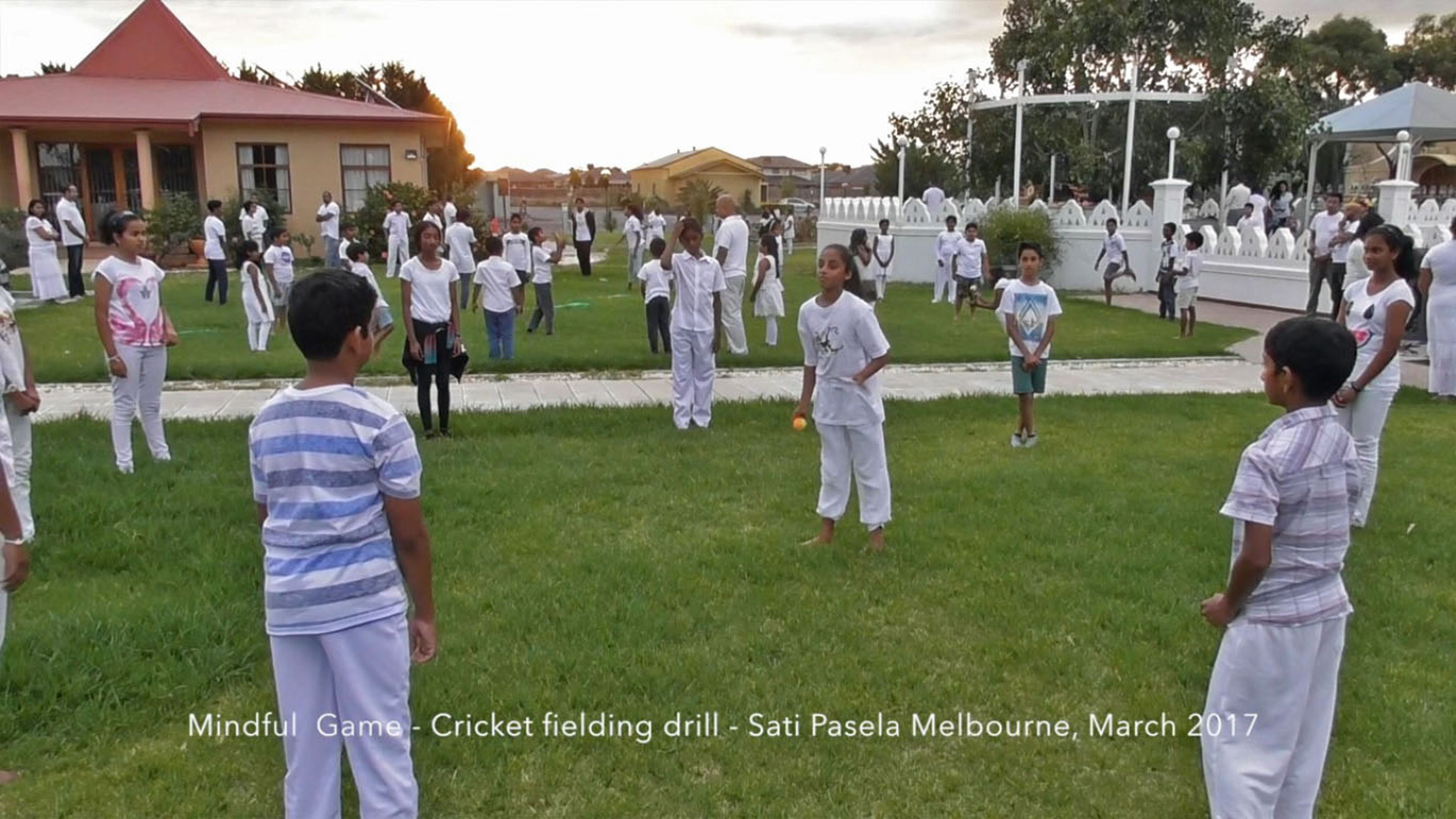 Cricket Fielding (Mindful Game)