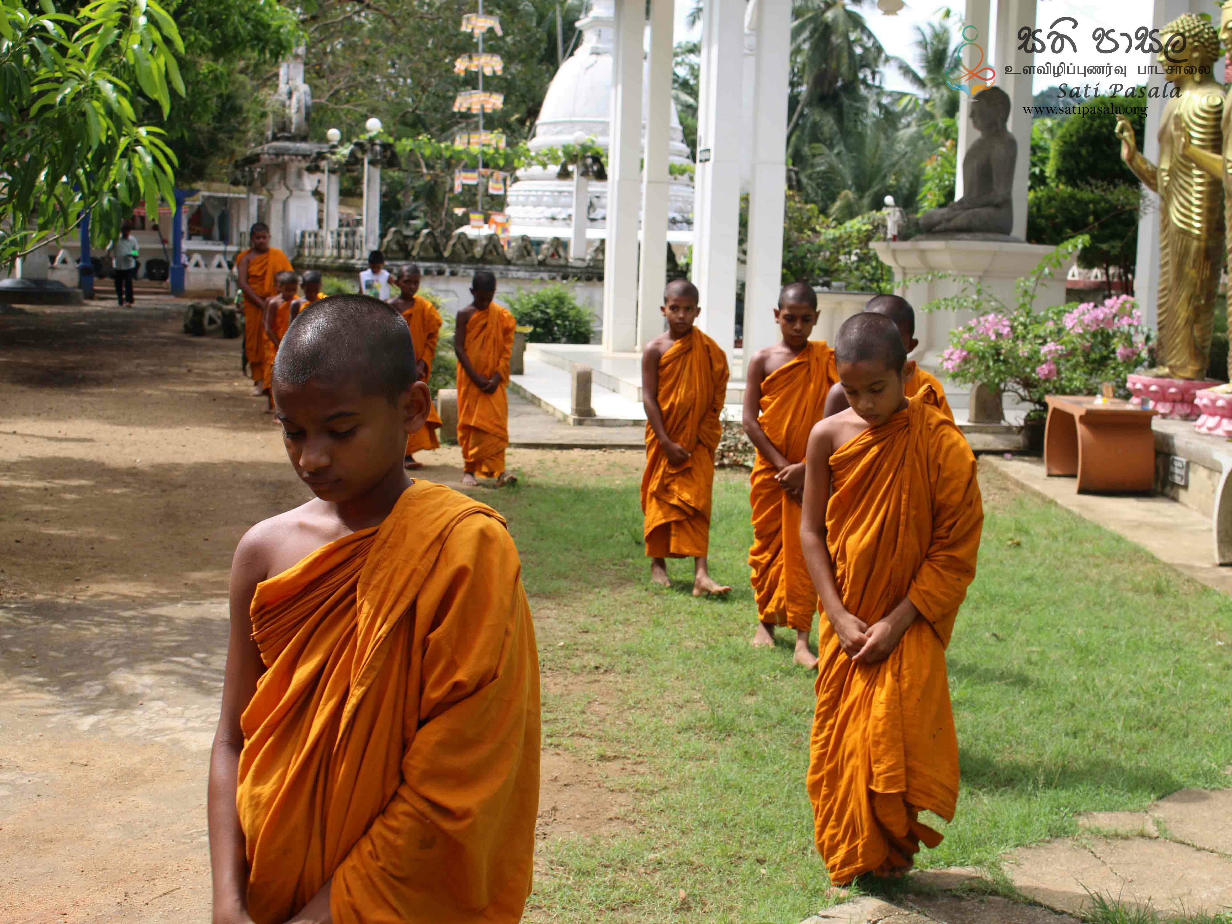 Monthly Sati Pasala for Venerable Members of the Clergy -12th March 2019